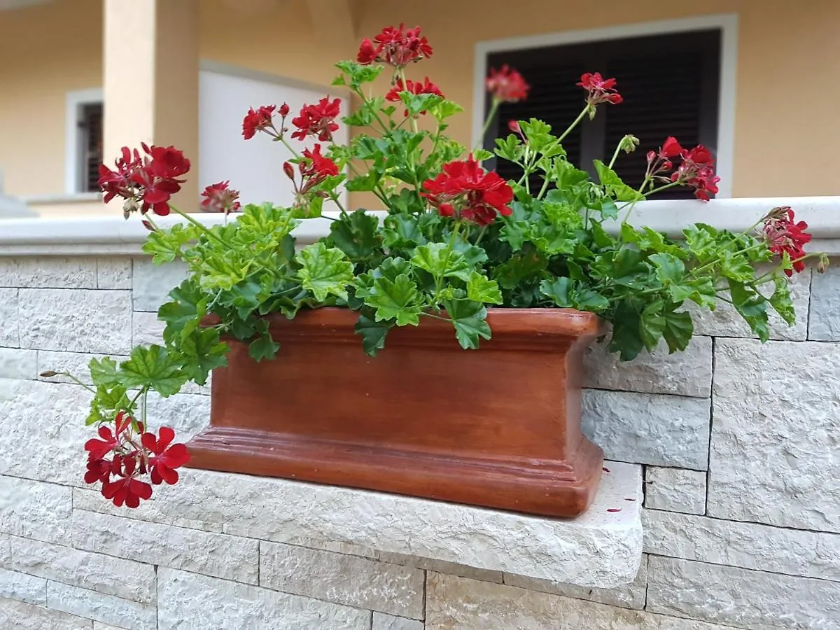 Comfort Apartment Smokva Vrsar Kroatië